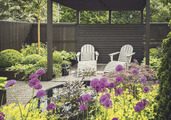 IN YOUR GARDEN this month…