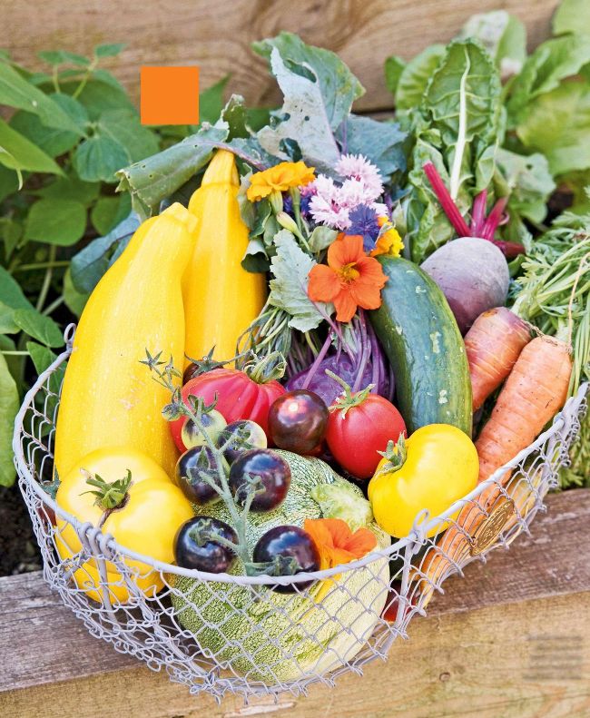 Harvesting Picking your crop