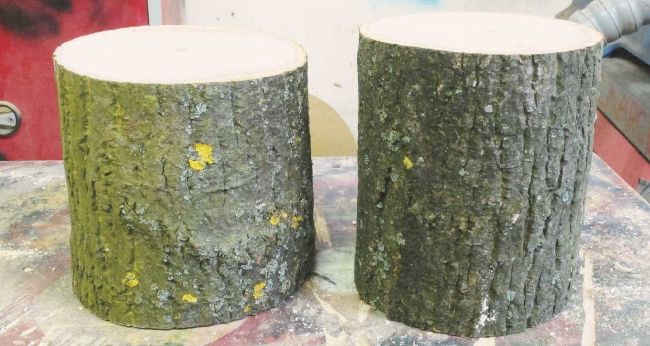 A TALE OF TWO LOGS