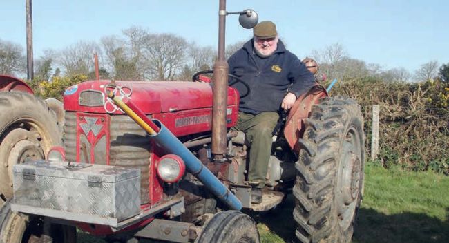 FERGUSON ROOTS