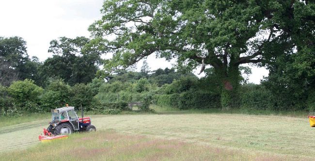 MOWING MASSEY