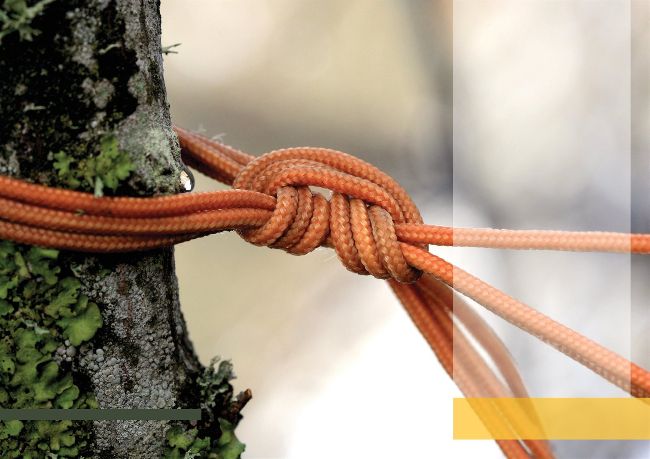 KNOT A PROBLEM