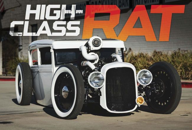 HIGH-CLASS RAT