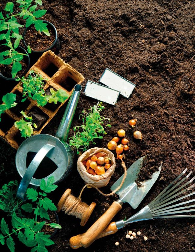 YOUR SPRING KITCHEN GARDEN