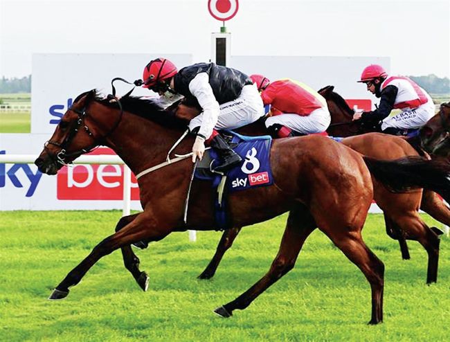 REVE DE VOL IS DREAM MACHINE