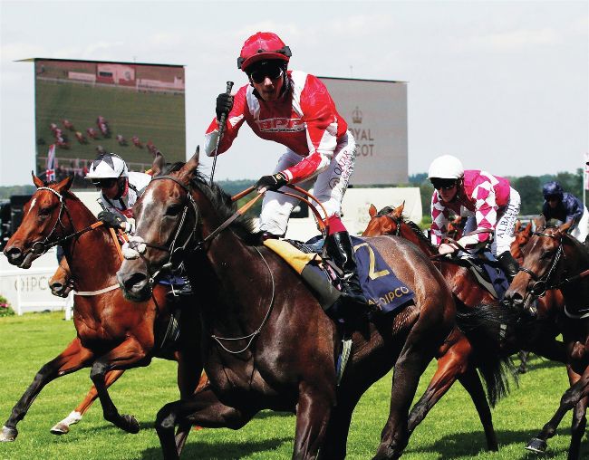 CHASING SHADOWS AT ASCOT