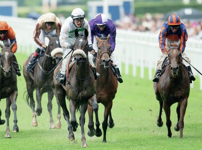 SANDRINE SHOWS CLASS FOR BALDING