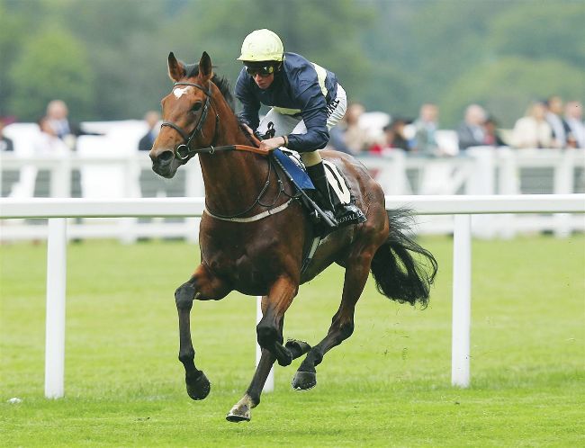 NATHANIEL GAVE FRANKEL CLOSEST RACE