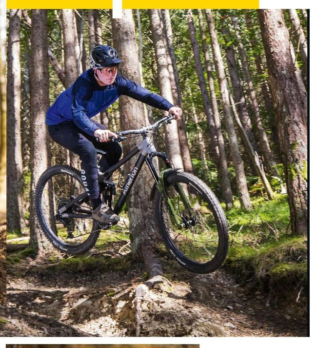Mountain biker catching air over roots in a pine forest