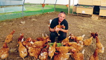 CHICKEN THERAPY in the UK and around the world