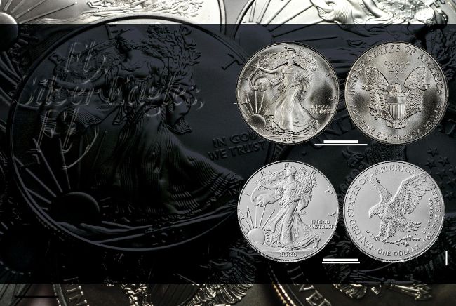 Fly, Silver Eagles, Fly