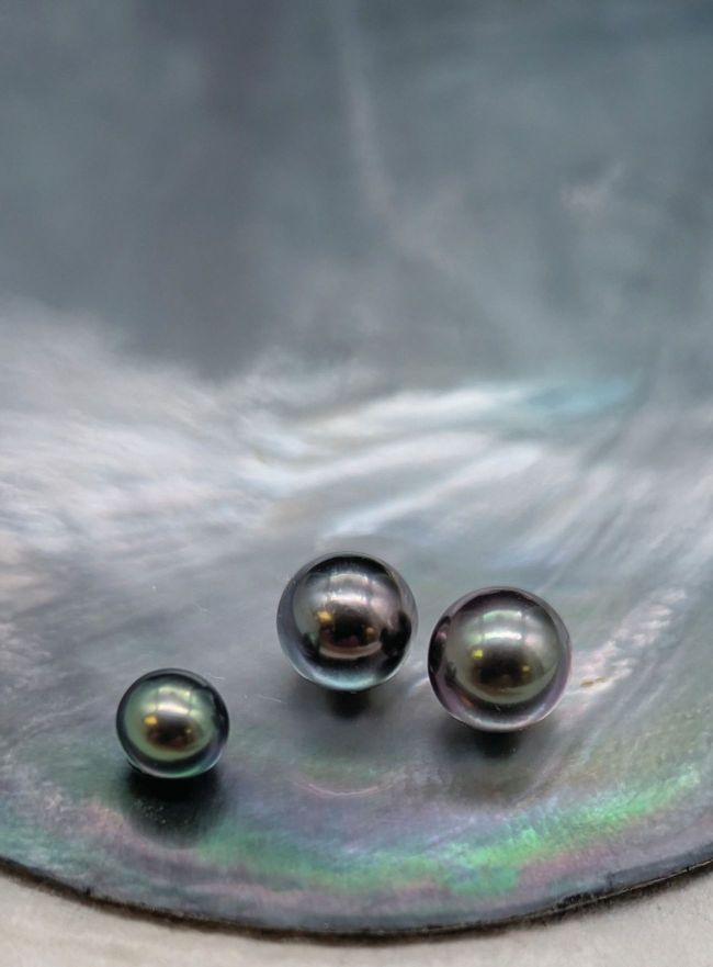 Tahitian BLACK PEARLS