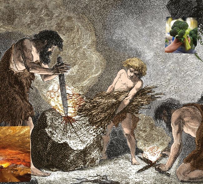 WHAT IF… HUMANS NEVER DISCOVERED FIRE?