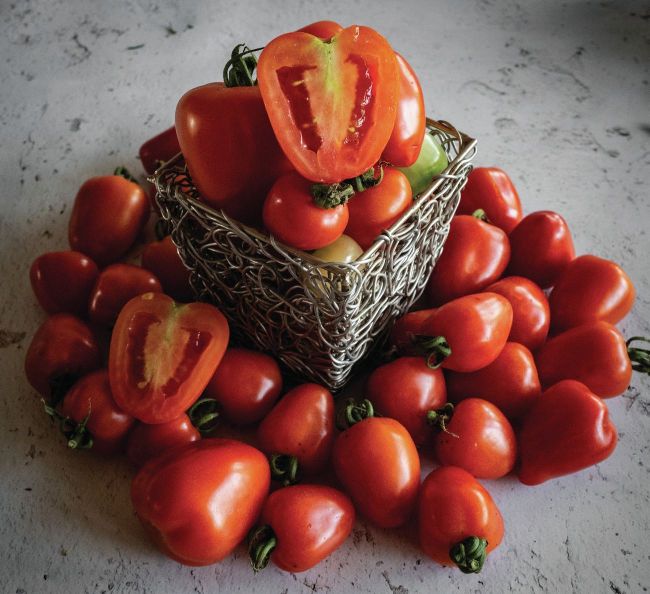 Cherry Tomato Rainbow