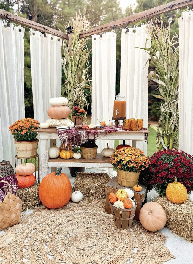 A Warm Welcome TO FALL