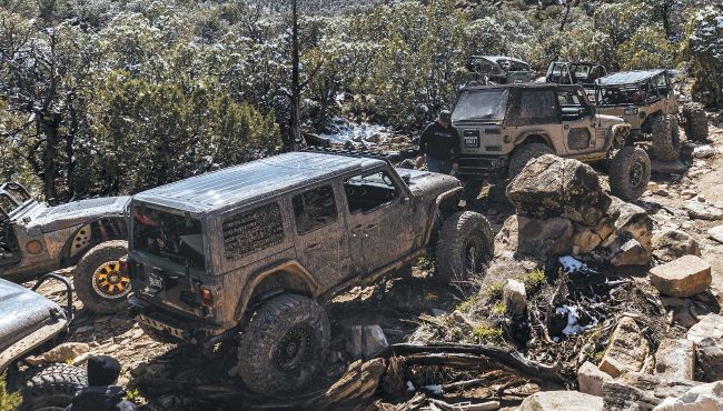 THE GREAT AMERICAN CRAWL