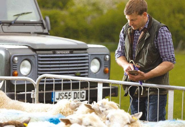 ‘NEW BREED’ OF FLOCK MANAGEMENT SOFTWARE