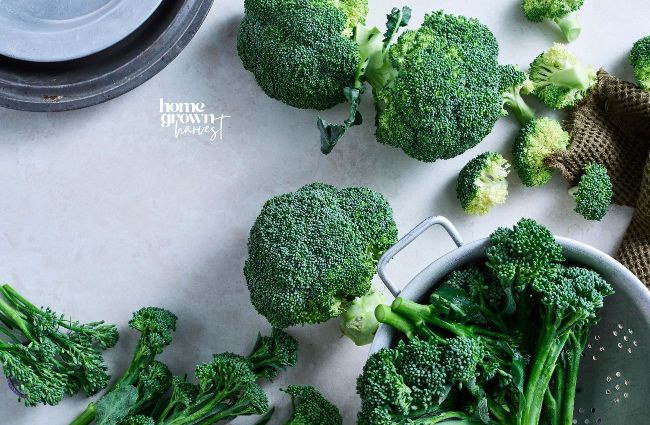 broccoli