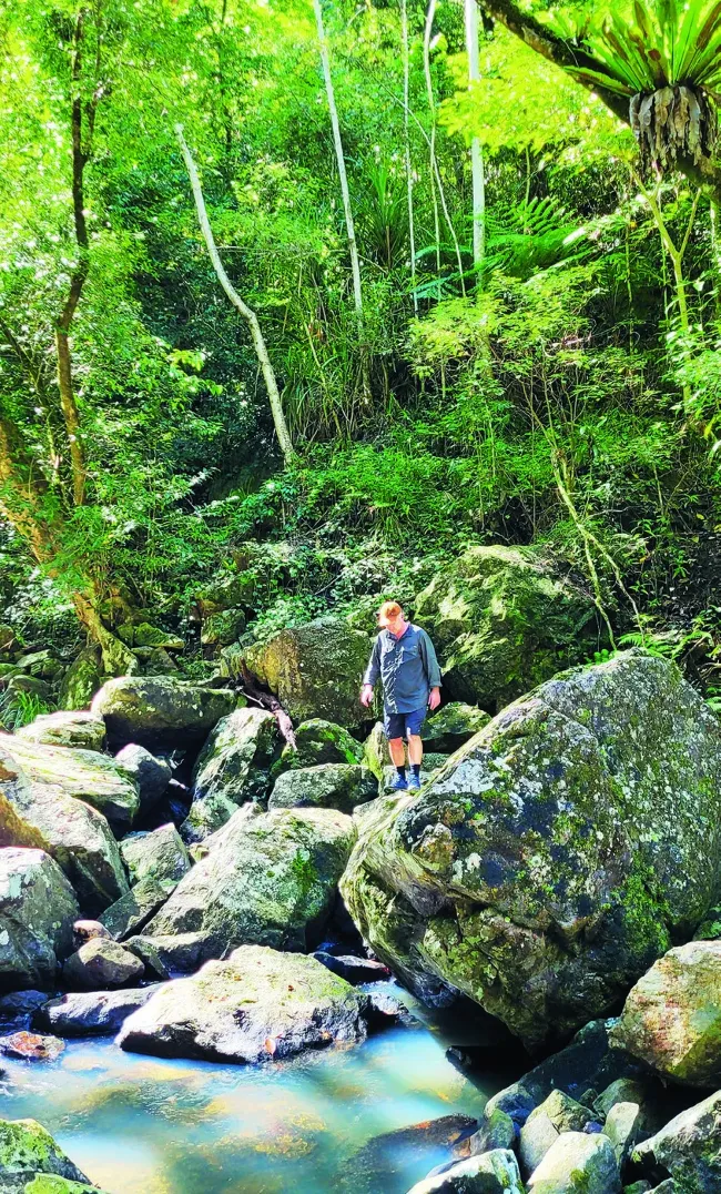 Hiker standing on large moss-covered boulders beside a clear rainforest creek upstream of Birdwing Falls in Girringun National Park.