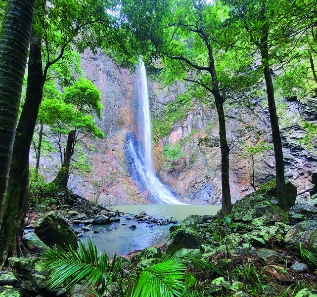 A tall slender waterfall dropping through a narrow green gorge into a hidden pool deep in Girringun National Park rainforest.