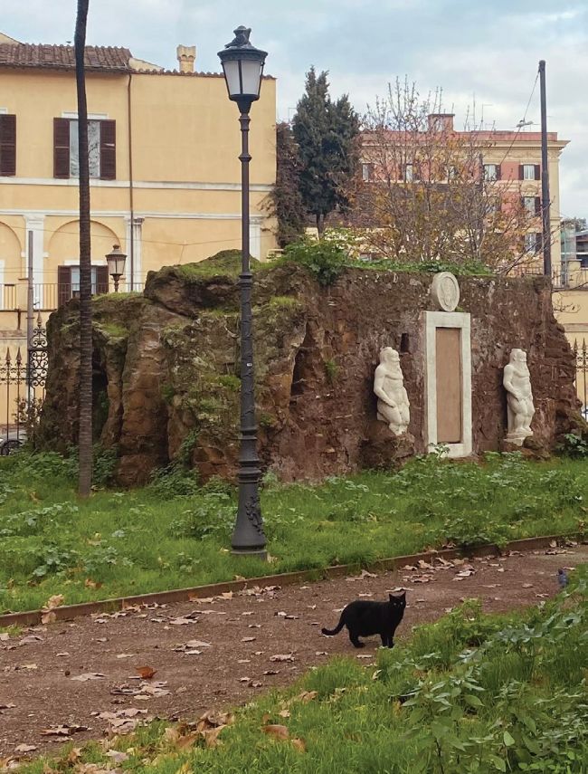 CATS of ROME | Italia! Jun/Jul 2026